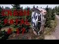 WRC 9: crash fatal 17