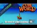 Cube World Season 11 - E9 -"At Least it's not Leaking!"
