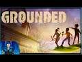 FIRST LOOK AT NEW SURVIVAL GAME GROUNDED | Grounded Demo |