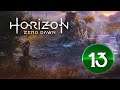 Horizon Zero Dawn Revisited -- STREAM 13 -- The Final Trophies