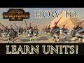 HOW TO LEARN UNITS! - Total War: Warhammer 2 Guide