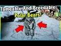 HOW TO TAME AND FIND POLAR BEARS ON ARK VALGUERO MAP! || ARK SURVIVAL EVOLVED!