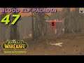 Let's Play WoW - The Burning Crusade Classic - Blood Elf Paladin - Part 47 - Gameplay Walkthrough