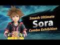 Super Smash Bros. Ultimate - Sora Combo Exhibition