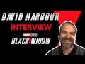 'Black Widow' Star David Harbour  Says His Beard Was "Controversial" in Production