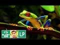 Der Rotaugenlaubfrosch | Red-eyed Tree Frog | Planet Zoo | #004 | Lets Play Deutsch