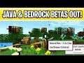 Minecraft Beta 1.14.0.4 & Snapshot 19W44A Change log + Nether Features?