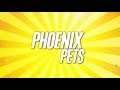 Pet Businesses and their Economic Impact | Phoenix Pets