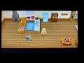 Story of Seasons: Friends Of Mineral Town-Baby Birth Event with Ran