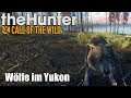 The Hunter Call of the Wild ★ Wölfe im Yukon Valley - im Multiplayer | Let's Play Deutsch
