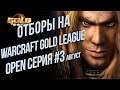 Кто из Наших Пройдет Дальше? 💾 Warcraft Gold League Summer