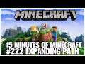 #222 expanding path, 15 minutes of Minecraft, PS4PRO, gameplay, playthrough