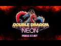 Double Dragon Neon - The Look