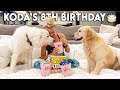 KODA'S 8th BIRTHDAY! (Ultimate Home Movie Night)