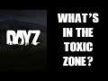 What Loot, Gear & Weapons Spawn In The DayZ Contaminated Toxic Gas Zone? (1.14 Experimental PC Xbox)