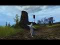 Backlash - Vallun D/P Daredevil - GW2 WvW Thief Duels and Roaming