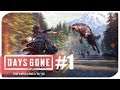 DAYS GONE Gameplay Walkthrough Part 1 FULL GAME - W/ Commentary (#DaysGone Full Game Walkthrough)