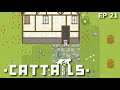 Entering The Abandoned Cottage | Cattails Ep 21