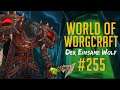 Kann nicht reproduziert werden || World of Warcraft [#255]