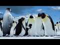 Noah and the elders being orthodox Catholic compilation (Happy Feet)