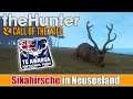 The Hunter Call of the Wild – Sikahirsche in Neuseeland | Te Awaroa | 02 | Deutsch