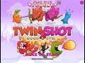 Twin Shot 2 (Nitrome.com) Good Levels 21-30