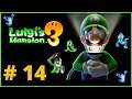 [FR] Luigi's Mansion 3. Les studios 2iem partie. Combat contre Godzilla. Boss.  #14