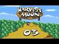 Let's Play - Harvest Moon #Part 03 - Steckrüben und Kartoffeln