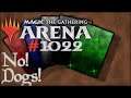 Let's Play Magic the Gathering: Arena - 1022 - No! Dogs!
