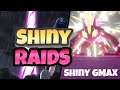 Shiny GMAX Raids!