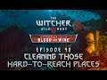 The Witcher 3 BaW - Let's Play [Blind] - Episode 42