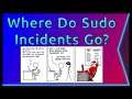 Where Sudo Incidents End Up