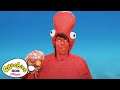 Andy Day Summer time Song  | 45+ Minutes | CBeebies