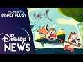 Chip ‘n’ Dale Animated Series Coming To Disney+ | Disney Plus News