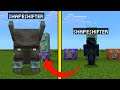 How to Shape Shift into any Mobs in Minecraft using Command Blocks