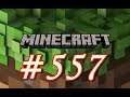Let´s Play Minecraft Part (#557) Steine sammeln ohne Ende