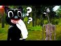 Siren Head VS Cartoon Cat Hide and Seek in Gmod! - Garry's Mod Multiplayer Survival
