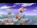 Super Smash Bros Brawl - 10 Man Smash - King Dedede