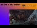 that a big spider ( skyrim part 2 )