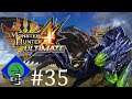 2-for-1 Brachys | Monster Hunter 4 Ultimate #35