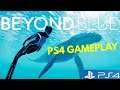 Beyond Blue: PS4 Gameplay
