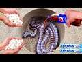 Coca Cola, Different Fanta, Mtn Dew, Pepsi,Sprite and Toy snake vs Mentos in Big Underground