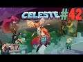 CTZ Play Celeste (Part 42) Look Inside