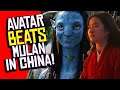 Disney Mulan's ENTIRE Chinese Box Office DESTROYED by Avatar RE-RELEASE?!