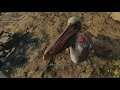 Far Cry 6 - A Little Birdie Told Me - Treasure Hunt #14