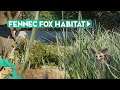Fennec Fox Habitat Yosemite Valley - Planet Zoo Speedbuild Africa Pack