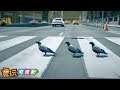 這「鴿」也太鬧了吧!《Pigeon Simulator》開發中遊戲介紹_電玩宅速配20190720
