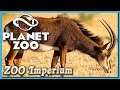 Planet ZOO 🐯 Rappenantilope | Zoo Imperium deutsch [s2e20]