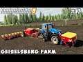 Planting sunflower with new tractor, caring cows | Geiselsberg Farm | Farming simulator 19 | ep #17