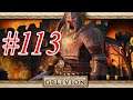 The Elder Scrolls IV Oblivion ITA - #113 Alleati per Bruma Pt.3!!!